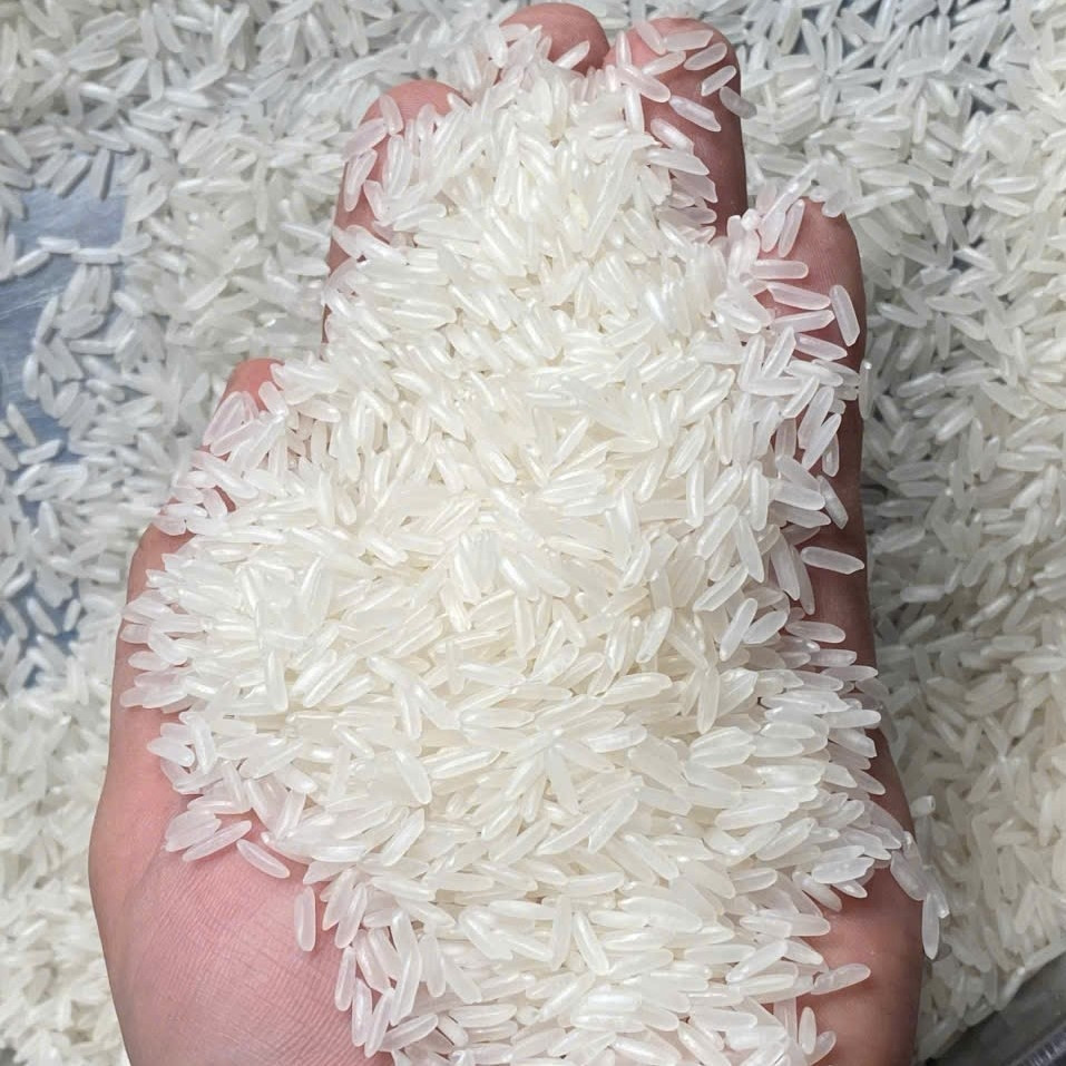 Vietnam fragrant rice OM18
